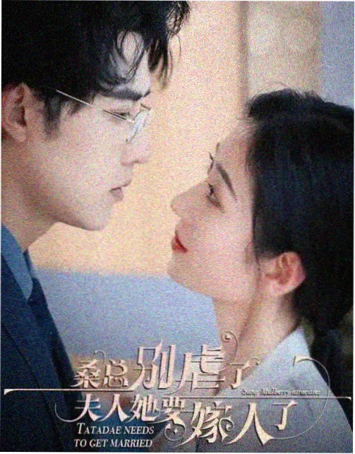 治愈剧旧城照相馆免费在线观看